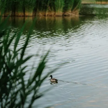 Bed and Breakfast Gyopar - Gyoparosfuerdo