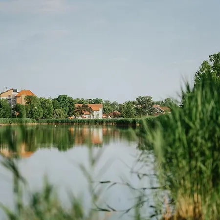 Gyopar - Gyoparosfuerdo Bed and Breakfast Orosháza