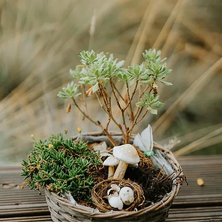 Gyopar - Gyoparosfuerdo 4*