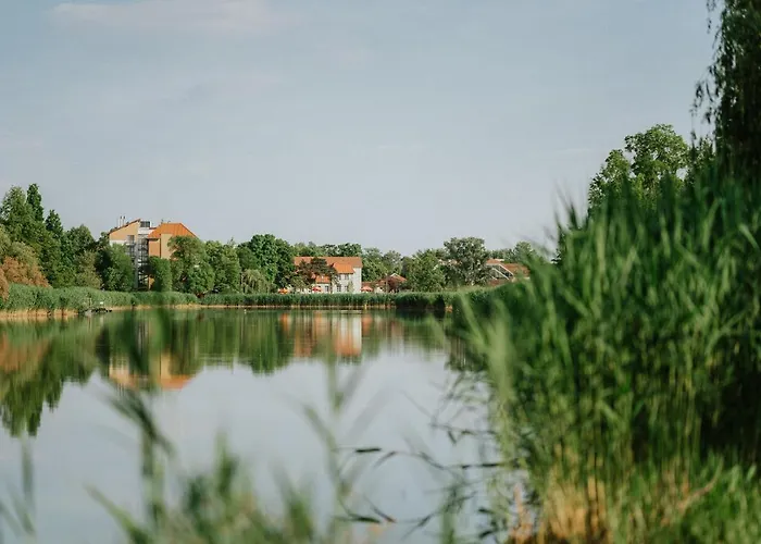 Gyopár - Gyopárosfürdő Bed and breakfast Orosháza